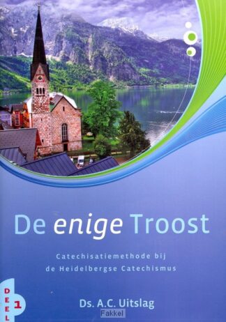 product afbeelding voor: Enige troost 1