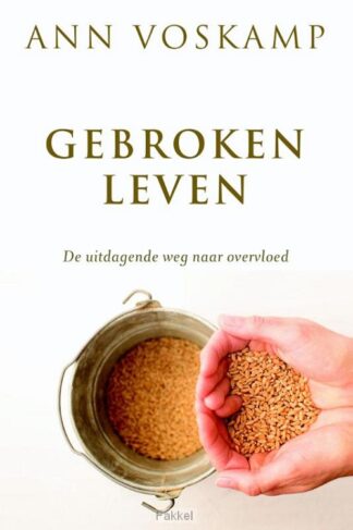 product afbeelding voor: Gebroken leven