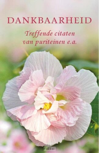 product afbeelding voor: Pareltje dankbaarheid