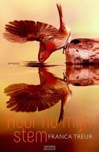 product afbeelding voor: Hoor nu mijn stem