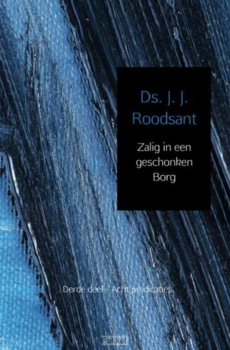 product afbeelding voor: Zalig in een geschonken borg