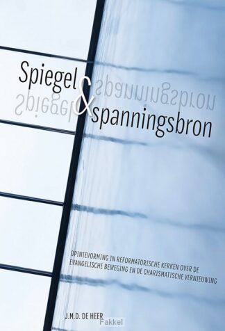 product afbeelding voor: Spiegel en spanningsbron