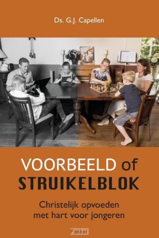 product afbeelding voor: Voorbeeld of struikelblok