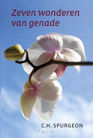 product afbeelding voor: Zeven wonderen van genade