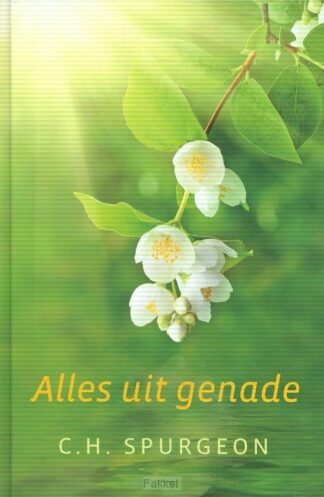 product afbeelding voor: Alles uit genade