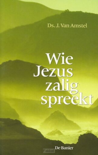 product afbeelding voor: Wie Jezus zalig spreekt