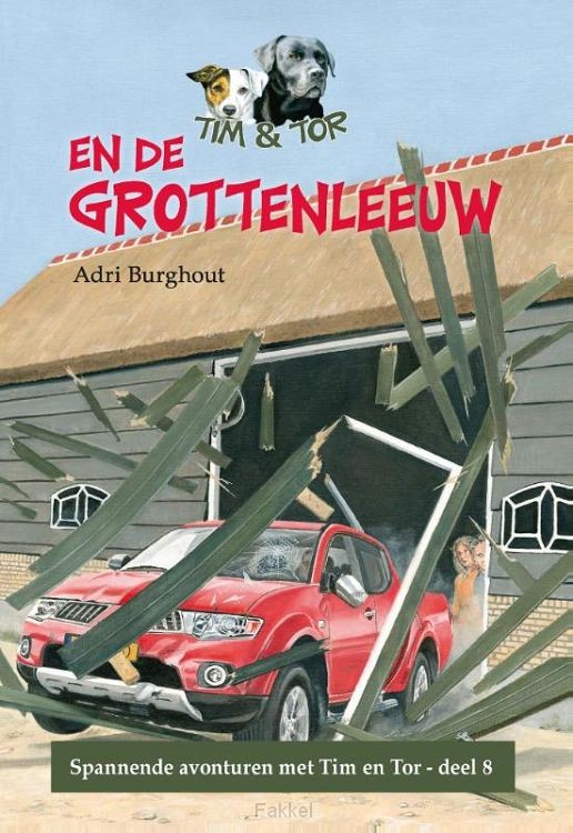 product afbeelding voor: Tim en Tor en de grottenleeuw