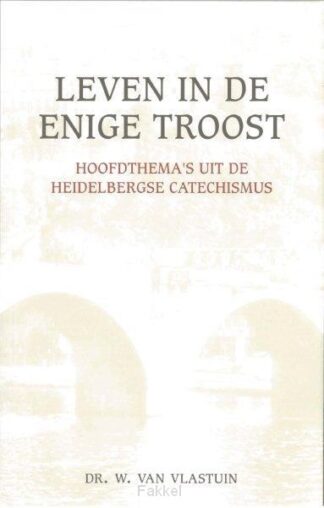 product afbeelding voor: Leven in de enige troost