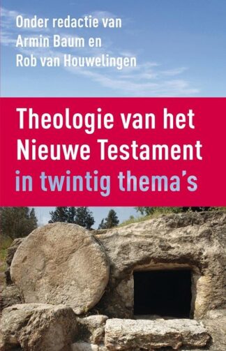 product afbeelding voor: Theologie van het Nieuwe Testament