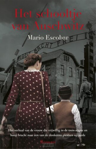 product afbeelding voor: Schooltje van Auschwitz