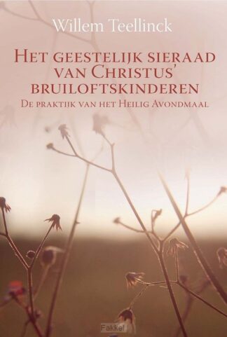 product afbeelding voor: Geestelijk sieraad van Christus' bruilof