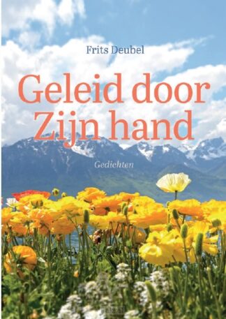 product afbeelding voor: Geleid door Zijn hand