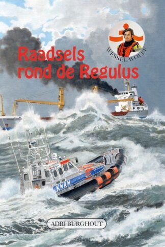 product afbeelding voor: Raadsels rond de regules