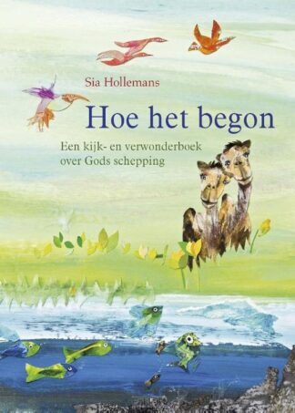 product afbeelding voor: Hoe het begon