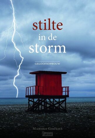 product afbeelding voor: Stilte in de storm