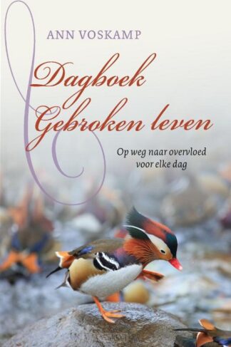 product afbeelding voor: Dagboek Gebroken leven