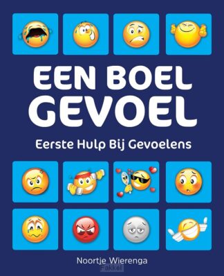 product afbeelding voor: Een boel gevoel