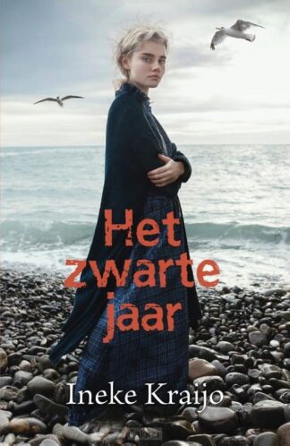 product afbeelding voor: Zwarte jaar