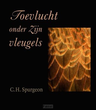 product afbeelding voor: Toevlucht onder Zijn vleugels