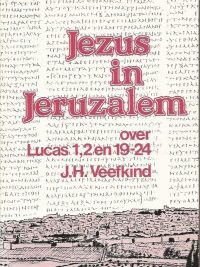 product afbeelding voor: Jezus in jeruzalem