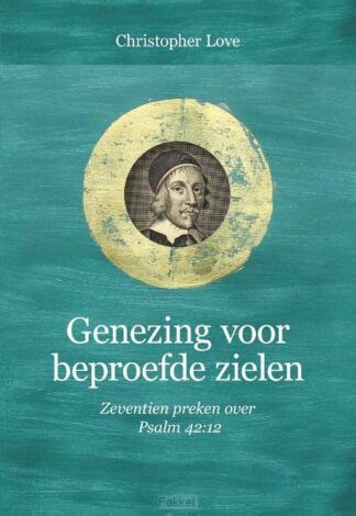 product afbeelding voor: Genezing voor beproefde zielen