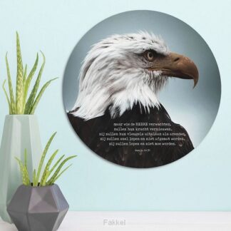 product afbeelding voor: Muurcirkel ' Arend' - 30 cm