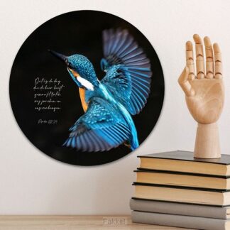 product afbeelding voor: Muurcirkel 'Ijsvogel' - 30 cm