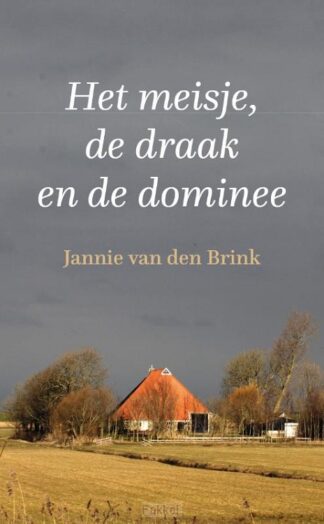 product afbeelding voor: Meisje de draak en de dominee