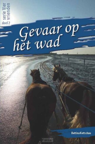 product afbeelding voor: Gevaar op het wad