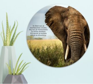 Muurcirkel 'Olifant - De Heer zal je lei