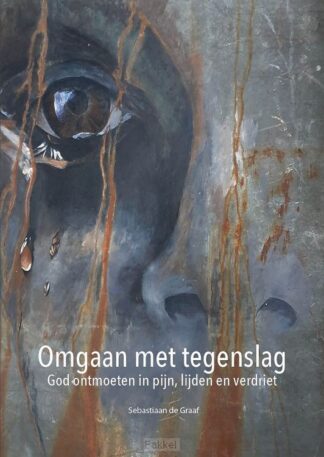 product afbeelding voor: Omgaan met tegenslag