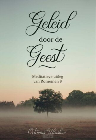 product afbeelding voor: Geleid door de Geest