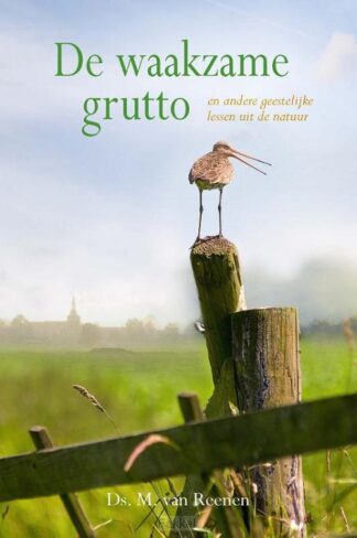 product afbeelding voor: Waakzame grutto