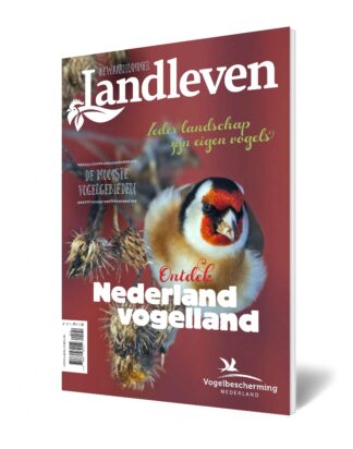 Landleven special nederland vogelland