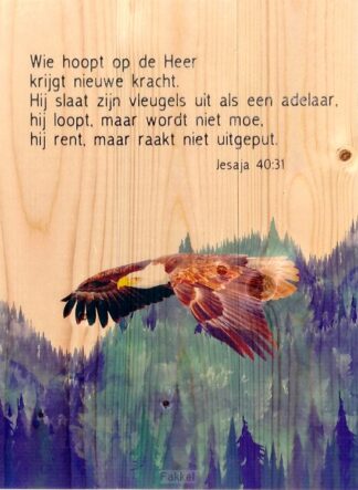 product afbeelding voor: Adelaar Jesaja 40:31