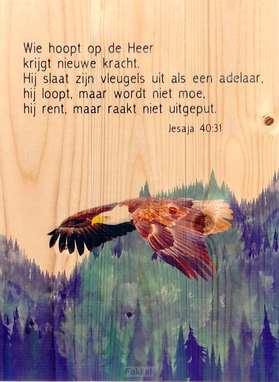 product afbeelding voor: Adelaar Jesaja 40:31
