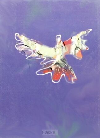 product afbeelding voor: Dubbele kaart zt duif id nacht set 10