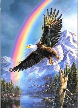 product afbeelding voor: Eagle Rainbow 40x50cm Square drill