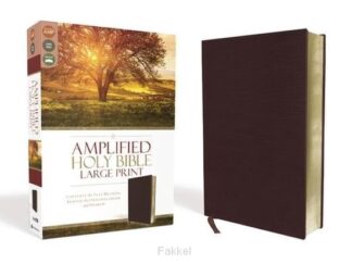 product afbeelding voor: Amplified Bible