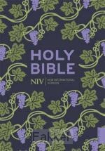 product afbeelding voor: NIV - Pocket Bible
