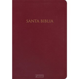 product afbeelding voor: RVR1960 -  Biblia Gift & Award