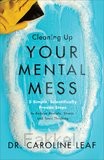 product afbeelding voor: Cleaning Up Your Mental Mess