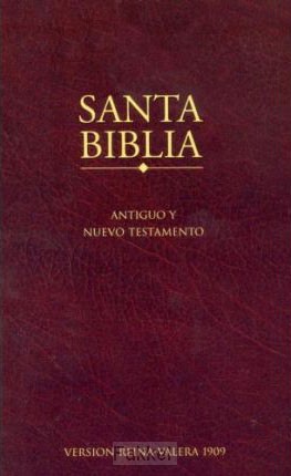 product afbeelding voor: RVR economy bible colour paperback