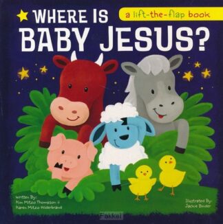 product afbeelding voor: Where Is Baby Jesus?