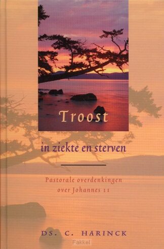 product afbeelding voor: Troost in ziekte en sterven