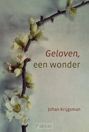 product afbeelding voor: Geloven een wonder
