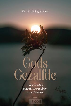 product afbeelding voor: Gods gezalfde