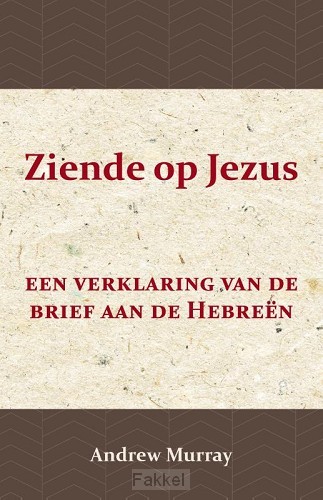 product afbeelding voor: Ziende op Jezus