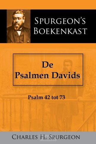 product afbeelding voor: De Psalmen Davids 2