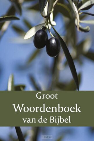 product afbeelding voor: Groot Woordenboek van de Bijbel O-Z